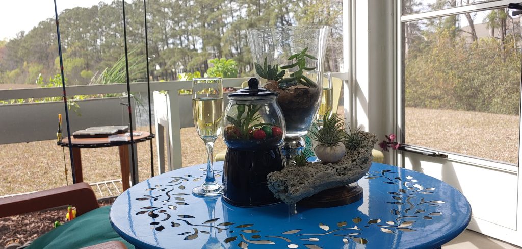 Dish gardens on a blue table on the lanai by Miniature Gardens by Donna