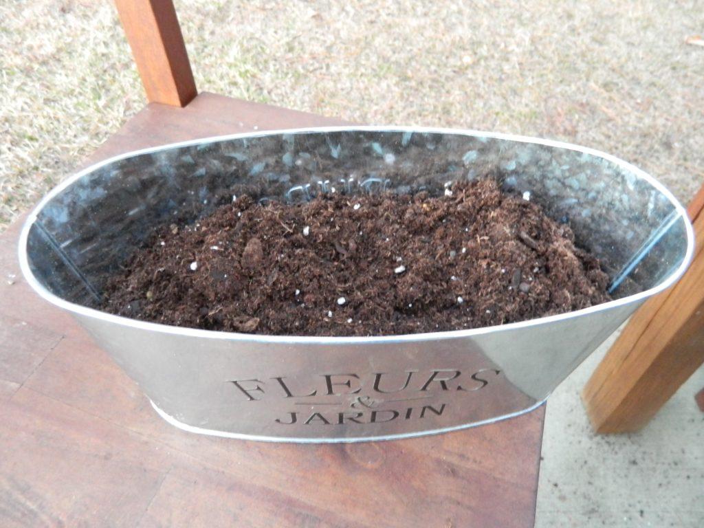 Fill your container to the half way point with your soil.