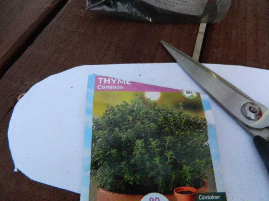 I decided to add Thyme seeds to my soil.  In a couple of weeks, I should have a very tasty soil cover growing in my herb dish garden. 