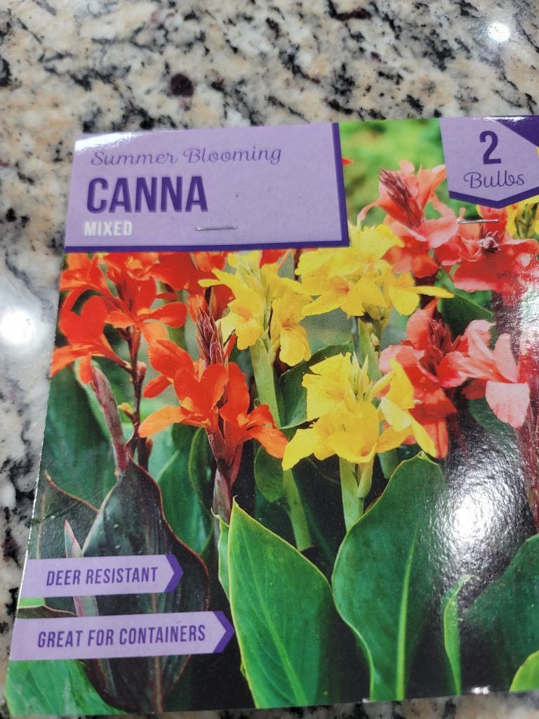 The first of three easy steps is thriller.  My thriller plant is Canna Lilies.