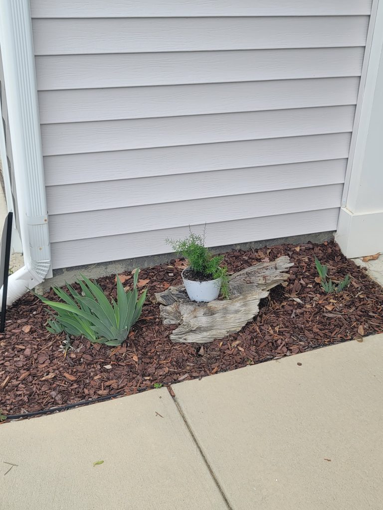 Close up picture of planter in front side flowerbed.  