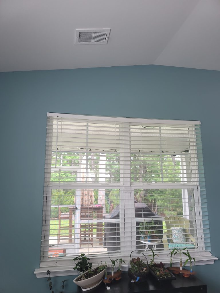 Window facing north shaded by lanai. The light from a window also affects your indoor microclimates. 