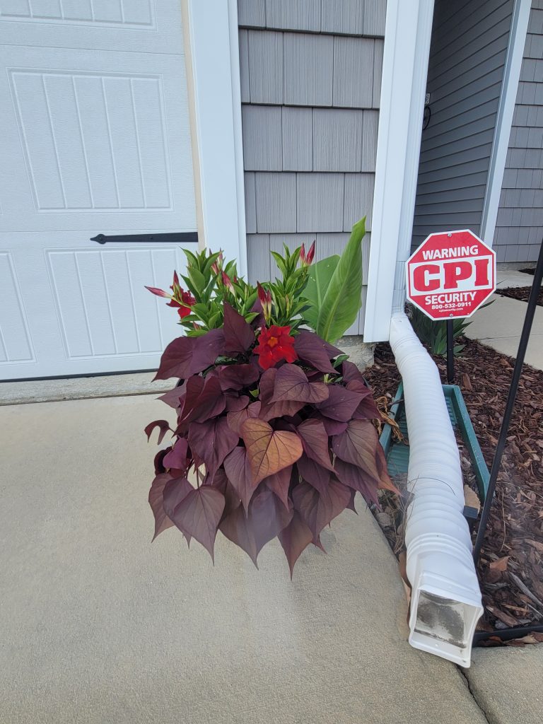 Planter with smaller plants on east side of driveway.