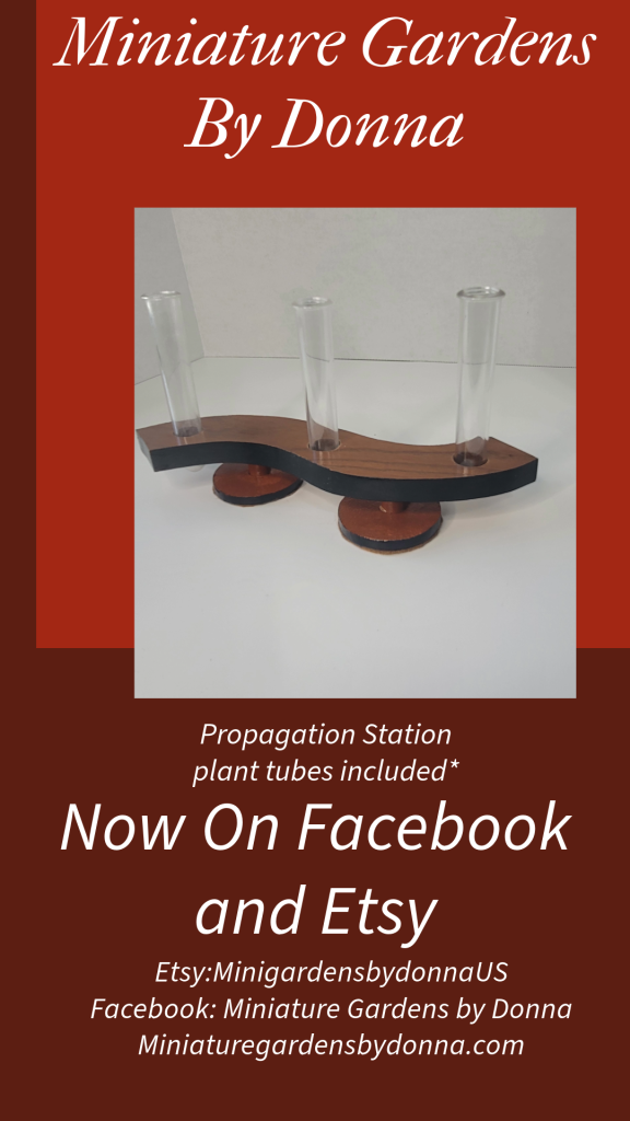 The October featured product is our updated Mid Century Modern  Plant Propagation Station.  This wooden stand is stained oak with black accents on the sides and the bottom of the legs.